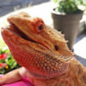 Meet your Posher, Lorraine